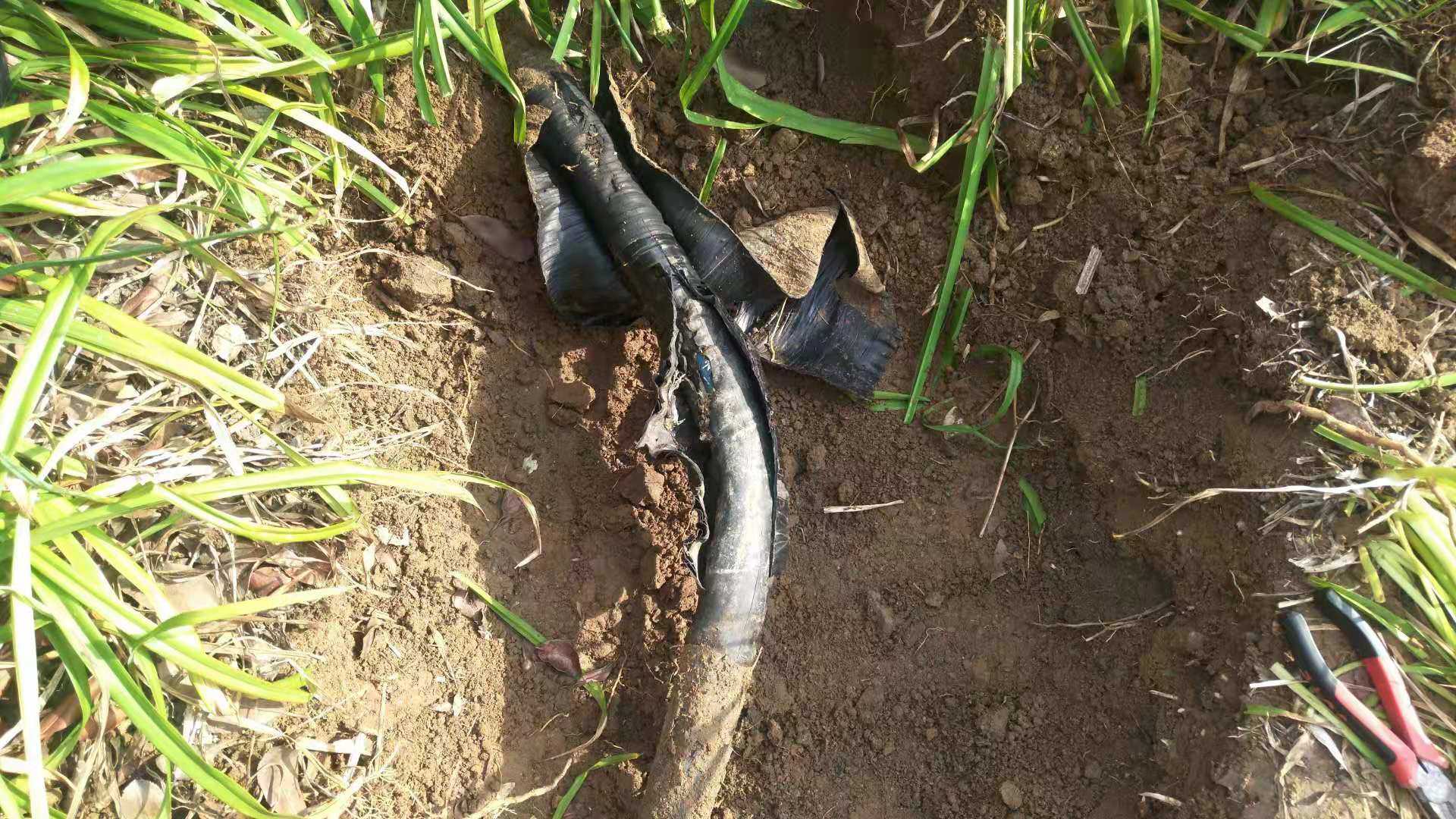 電纜智能精確定位儀